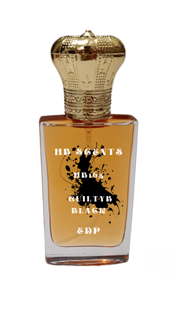 HB165 (Inspired By HgucciG GuiltyB BlackB)