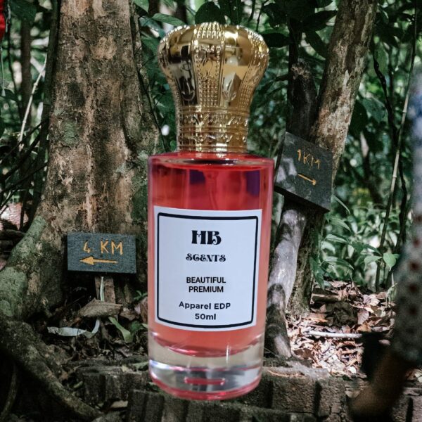 BEAUTIFUL HB439 (Inspired By HajmalB MizyaanB) Premium