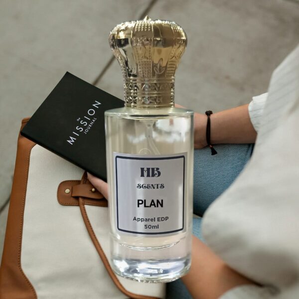 PLAN HB441 (Inspired By HamouageB PurposeB)