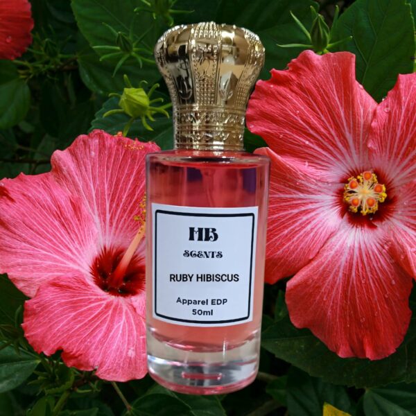 RUBY HIBISCUS HB494 (Inspired By HJob MaloneB RedB HibiscusB)