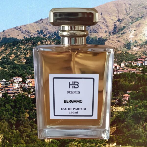 BERGAMO HB559 (Inspired By HortoB ParisiB BergamaskB)