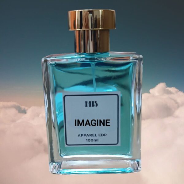 IMAGINE HB669 ( Inspired By HLVB ImaginationB)