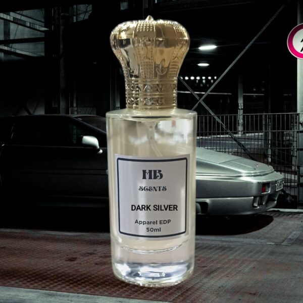 DARK SILVER HB754 (Inspired By HazzaroB SilverB BlackB)